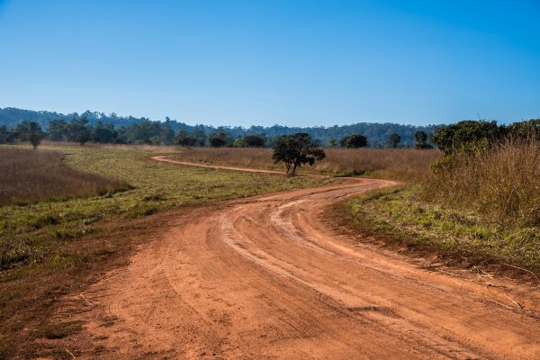 Cost of Dirt Driveway Repair in Murfreesboro