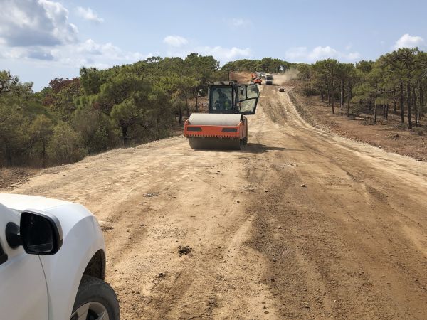 Cost of Driveway Grading in Murfreesboro