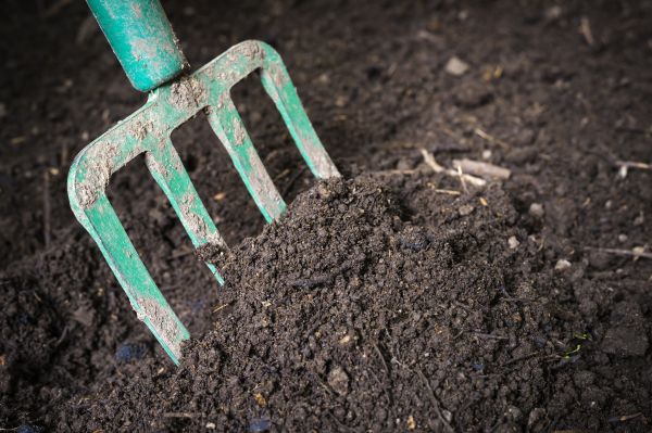 Cost of Topsoil Spreading in Murfreesboro