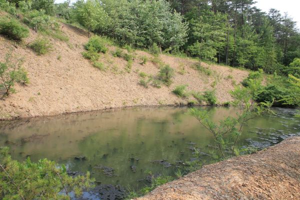 Cost of Pond Erosion Repair in Murfreesboro