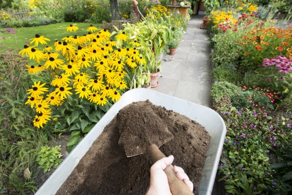 Cost of Topsoil Installation in Murfreesboro