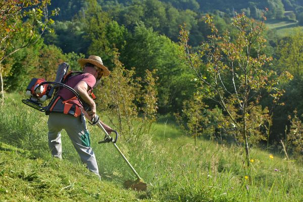 Cost of Slope Trimming in Murfreesboro
